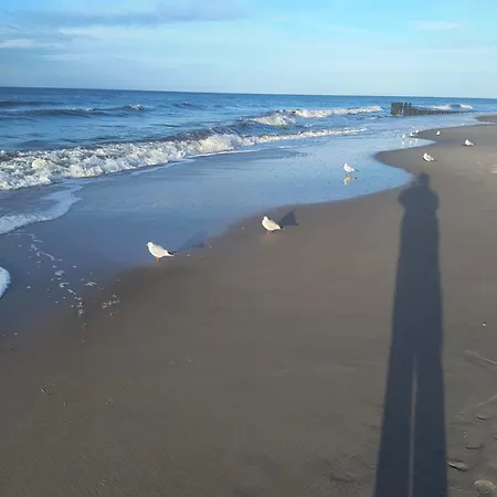Azyl W Tarsis Eko Park Lejlighed Kołobrzeg